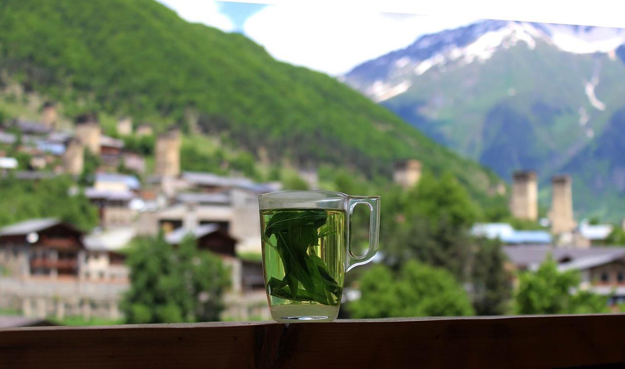 Travel Inn House Mestia • Მოგზაურის Სახლი 外观 照片